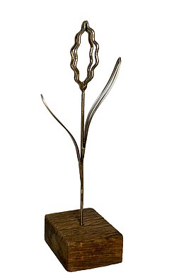 Lügenblume